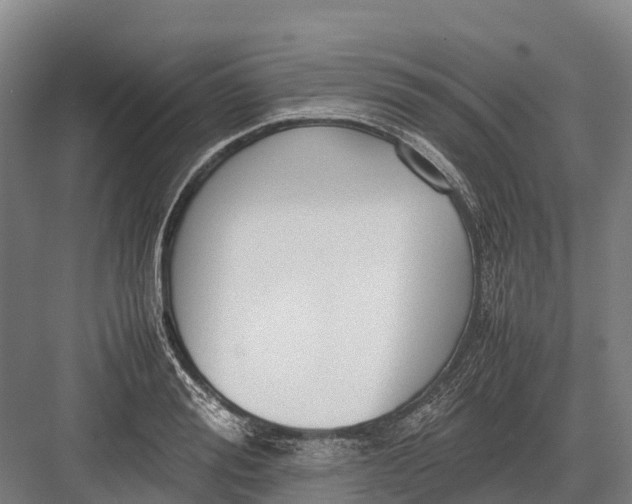 X0000082720988200702161837