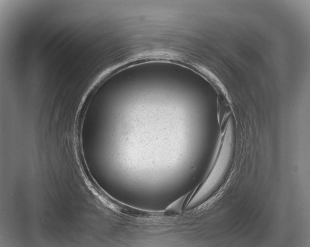 X0000082720989200702161837