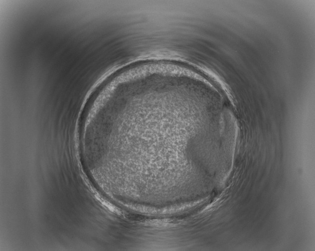 X0000082720990200702161837