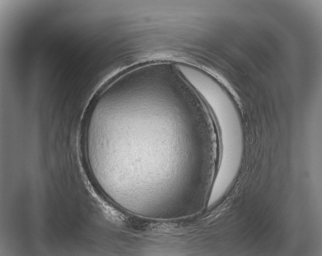 X0000082720991200702161837