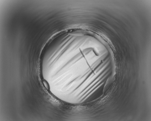 X0000082720992200702161837