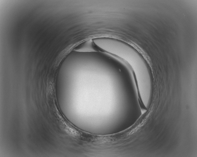 X0000082720993200702161837