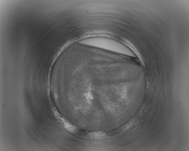 X0000082720994200702161837