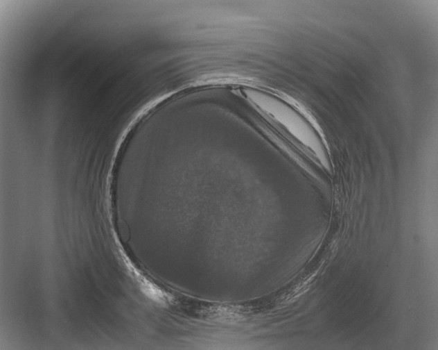 X0000082720995200702161837