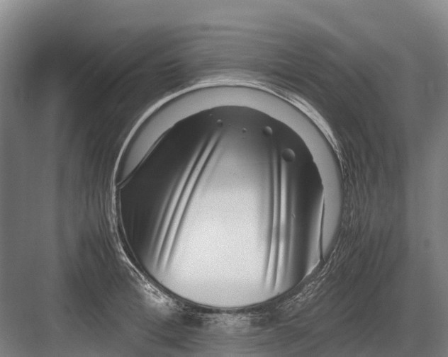 X0000082720996200702161837