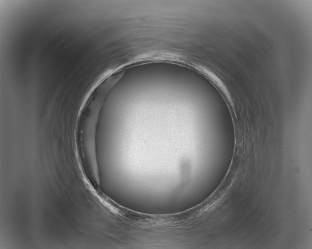 X0000082720997200702161836