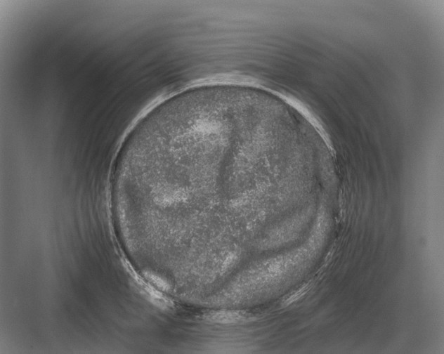 X0000082720998200702161836