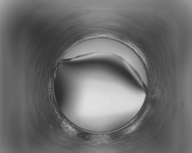 X0000082721001200702161836