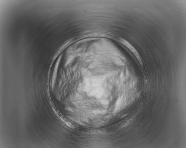 X0000082721002200702161836