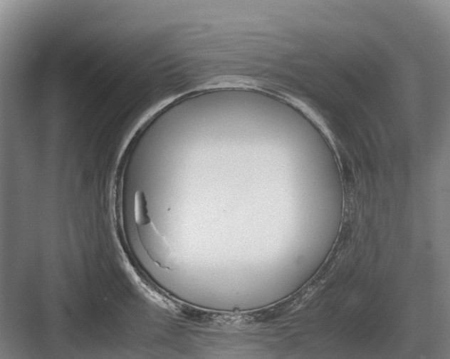 X0000082721003200702161836