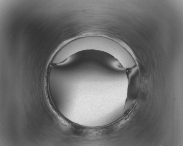 X0000082721005200702161836