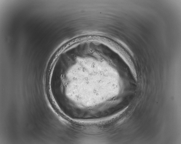 X0000082721007200702161836