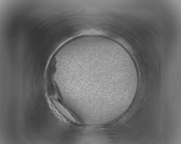 X0000082721008200702161836