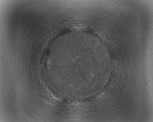 X0000082721009200702161835