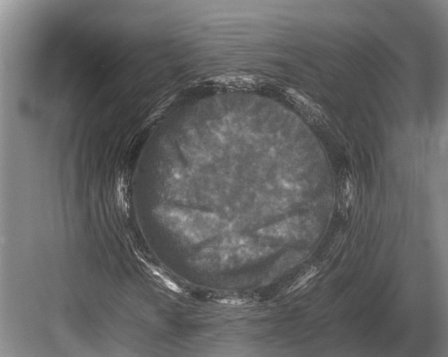 X0000082721010200702161836