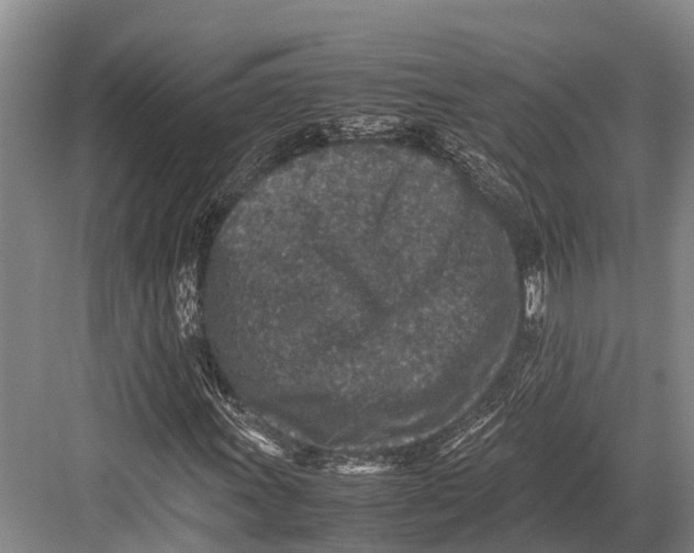 X0000082721011200702161836