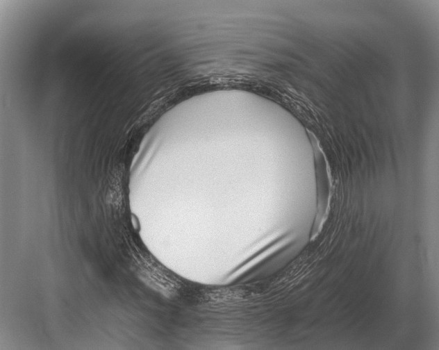 X0000082721012200702161836