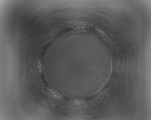 X0000082721013200702161836