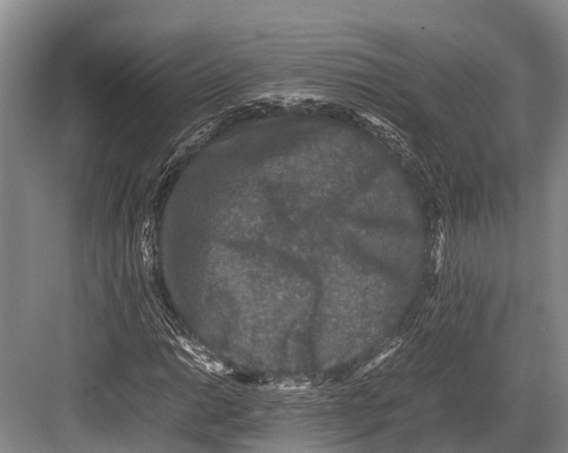 X0000082721014200702161836