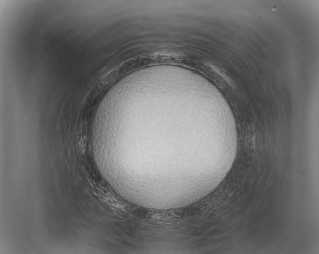 X0000082721015200702161836