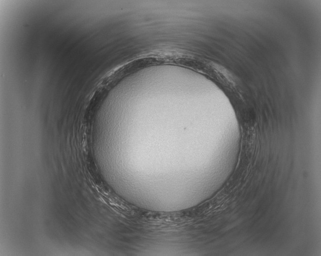 X0000082721016200702161836