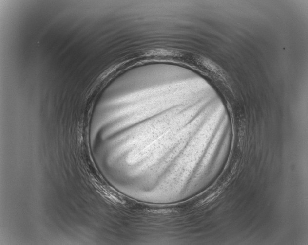 X0000082721017200702161836