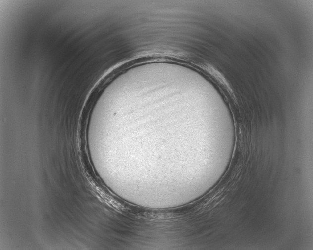 X0000082721020200702161836