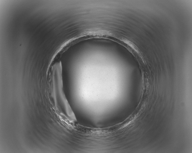 X0000082721022200702161836