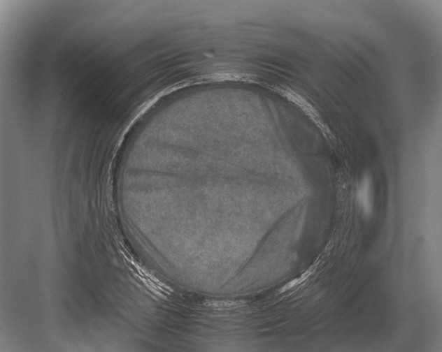 X0000082721023200702161836