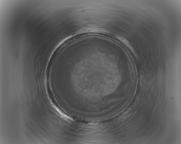 X0000082721024200702161836