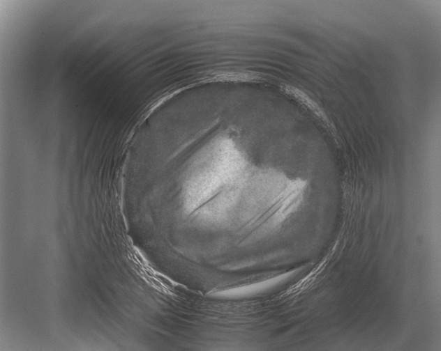 X0000082721025200702161836