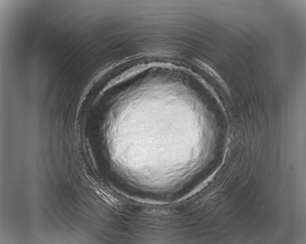 X0000082721027200702161836