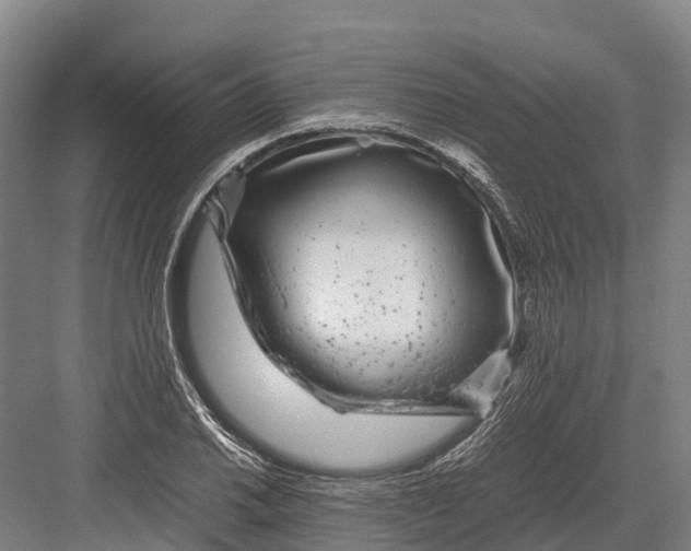 X0000082721030200702161836