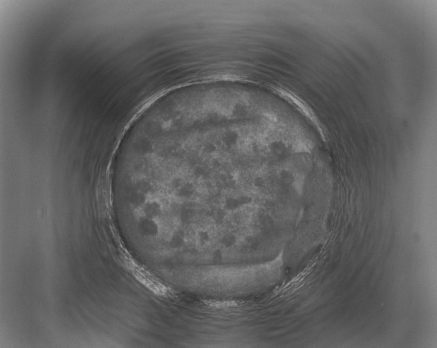 X0000082721031200702161836