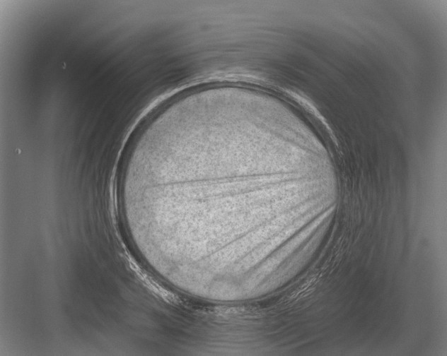 X0000082721032200702161836