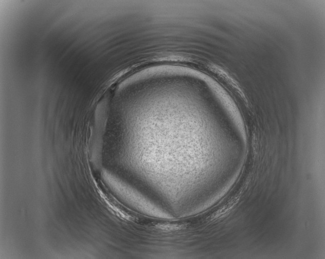 X0000082721033200702161836