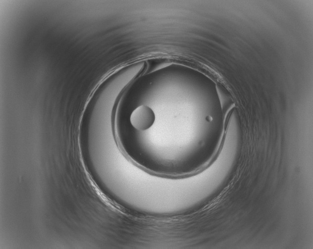 X0000082721034200702161836