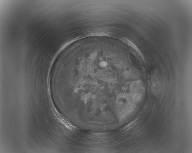 X0000082721035200702161836