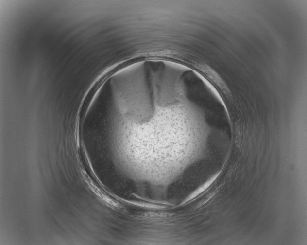 X0000082721036200702161836