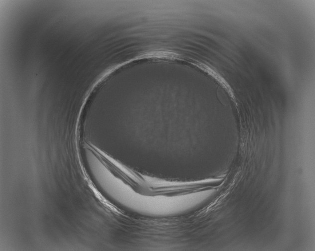 X0000082721037200702161836