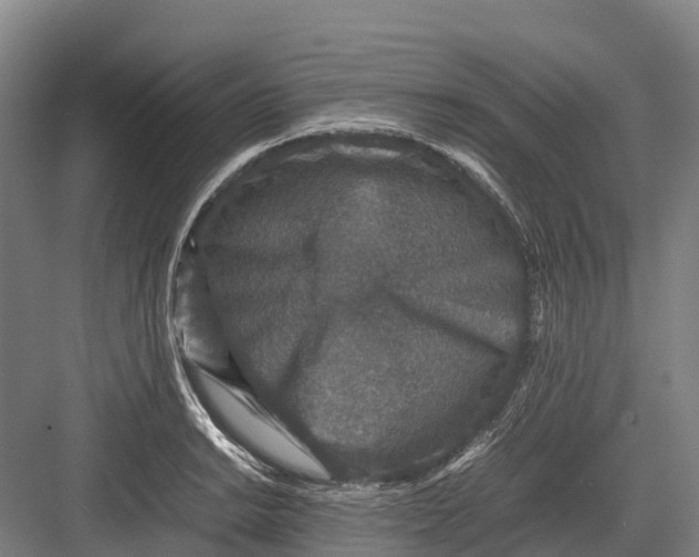 X0000082721038200702161836