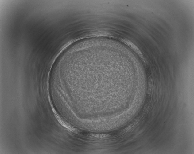 X0000082721039200702161836