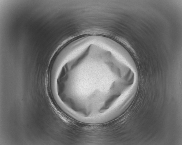 X0000082721040200702161836