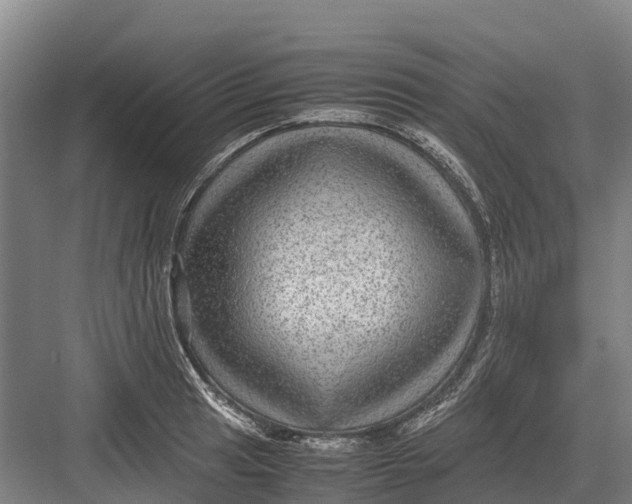 X0000082721041200702161836