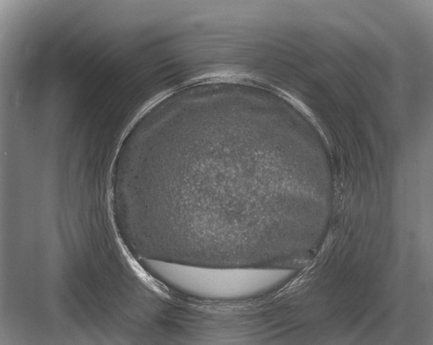 X0000082721042200702161836