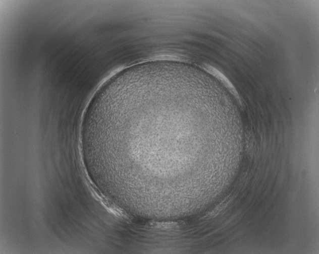 X0000082721043200702161836