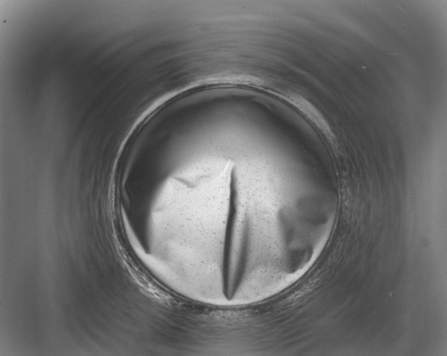 X0000082721044200702161836