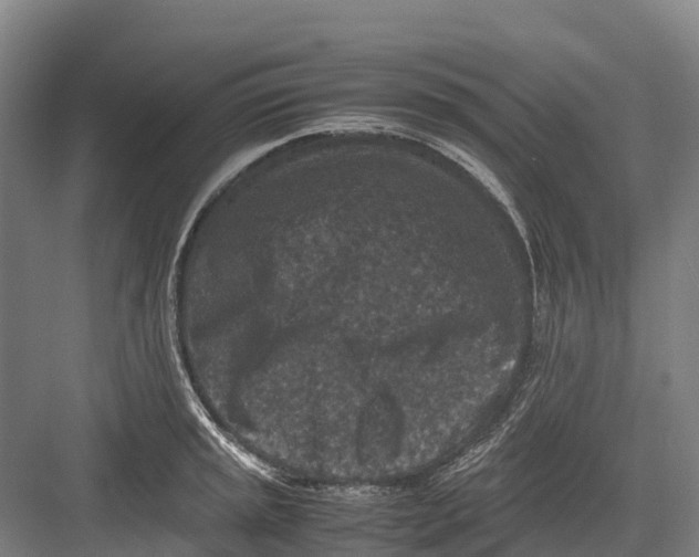 X0000082721045200702161836