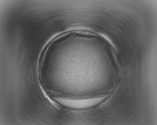 X0000082721046200702161836