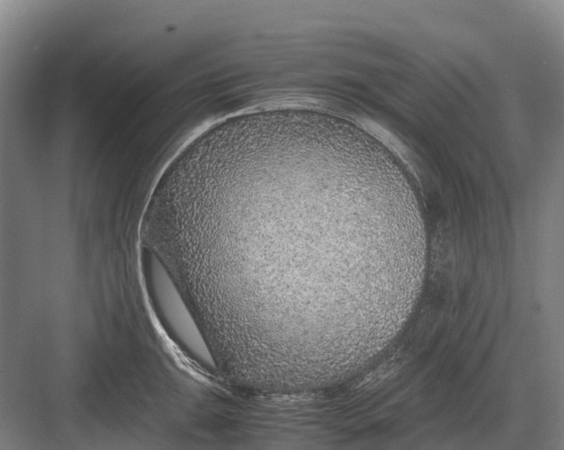 X0000082721047200702161836